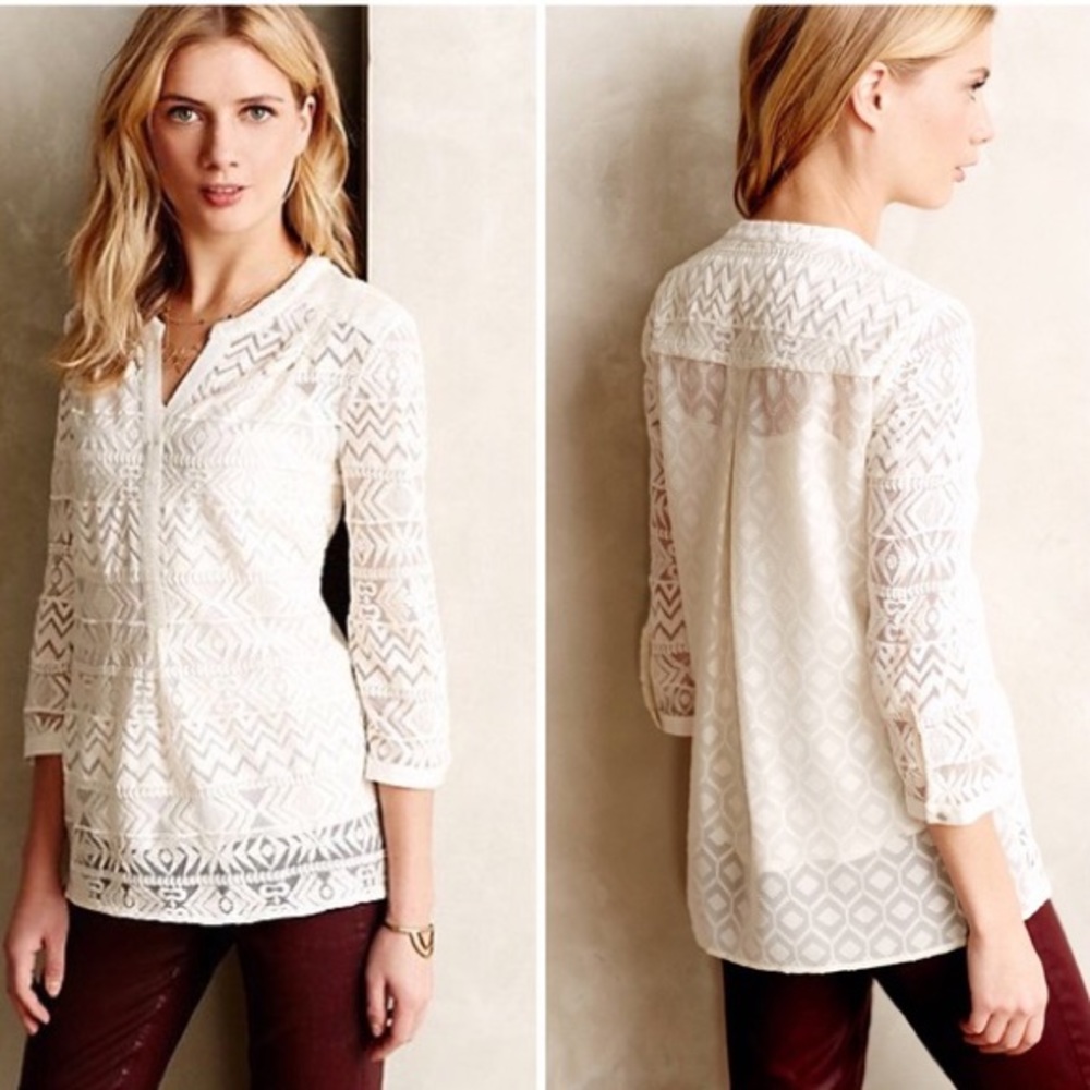 Vanessa & Virginia Embroidered Tulle Tunic Sz 2